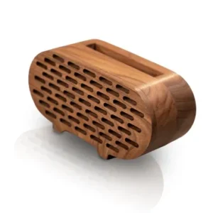 Pajhwok acoustic speaker